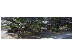 Rare Corner Lot Opportunity in Valenzuela City – 517 SQM