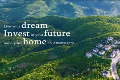 AMONSAGANA - LOT ONLY INVESTMETN IN BALAMBAN CEBU